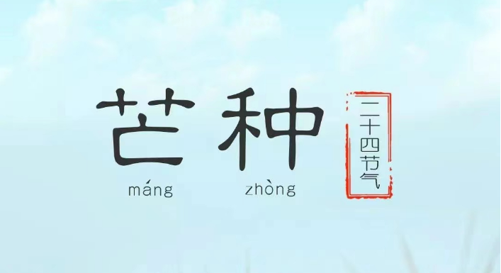 今日芒种 | 忙有所得 耕有所获